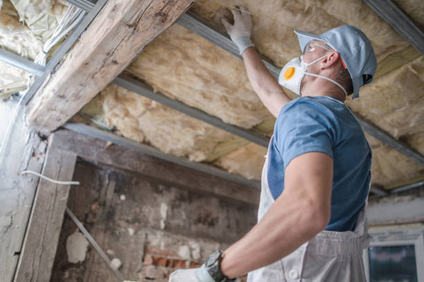 Best Geographic-Specific Insulation Services in Upper Fruitland, NM