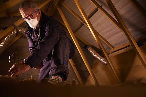 Best Cellulose Insulation in Upper Fruitland, NM